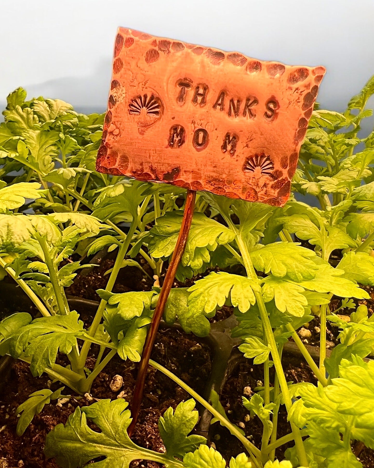 Stamped Copper Signs