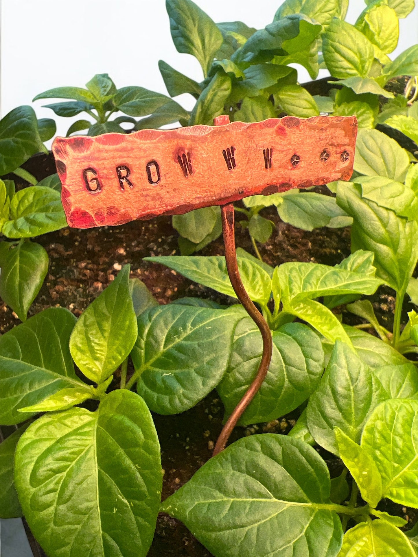 Stamped Copper Signs