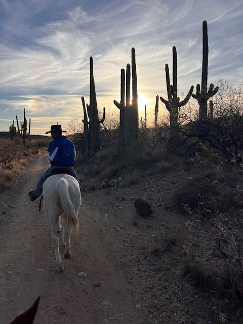 Horseback riding in the desert among the saguaro cactus at sunset in Arizona. There is a man in a cowboy hat riding a grey horse and you can just see the brown ear of the horse the photographer is riding in the lower left hand corner.