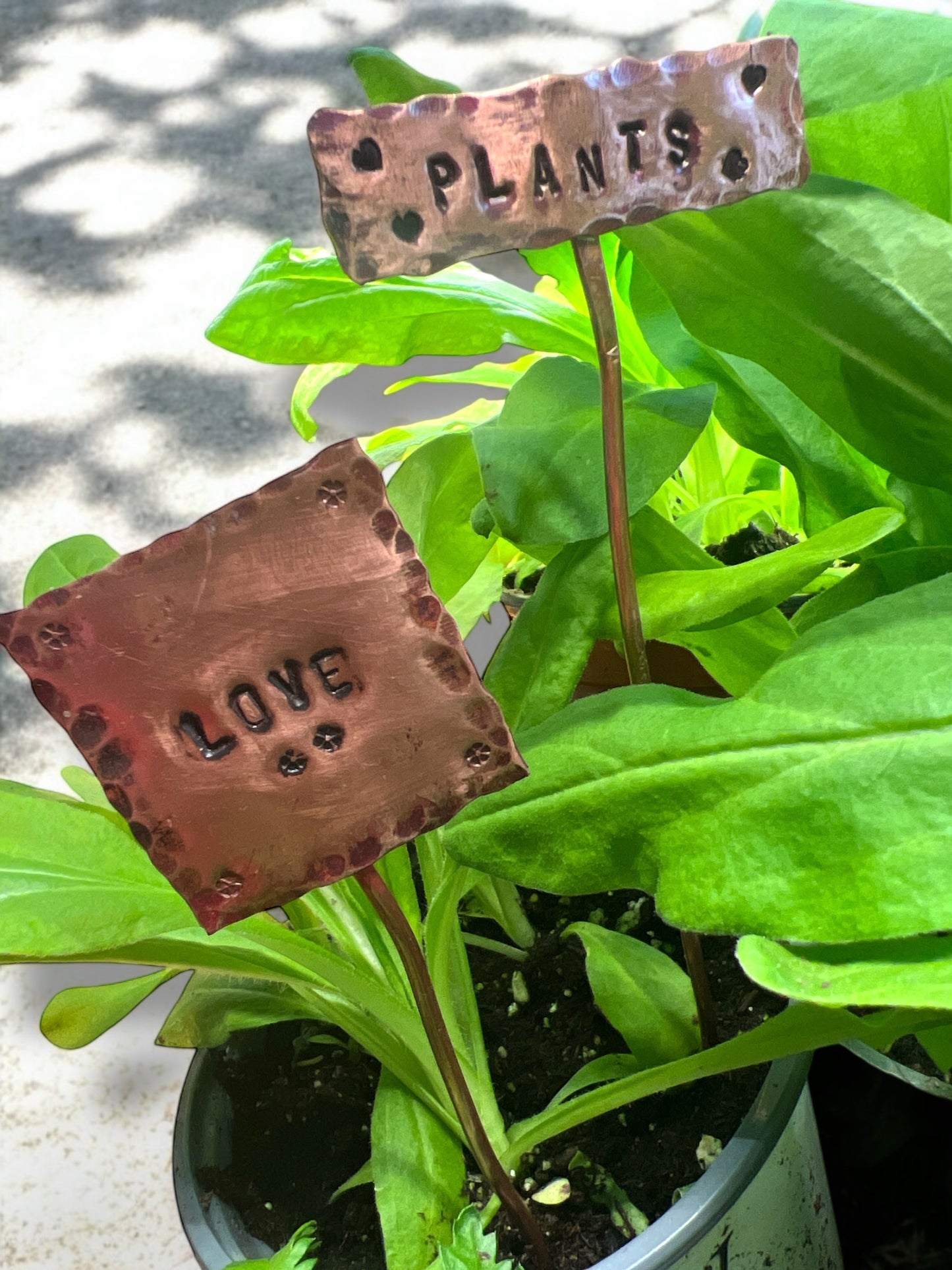 Stamped Copper Signs